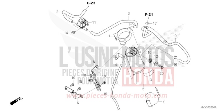 AKTIVKOHLEBEHAELTER von CBR650R GRAND PRIX RED (R380) von 2023