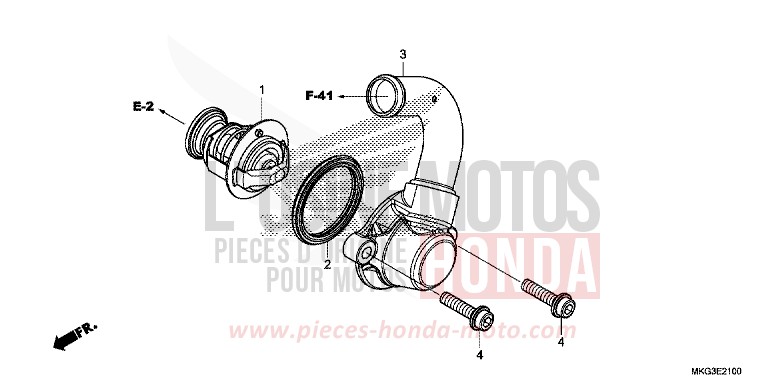 THERMOSTAT von Rebell MAT FRESCO BROWN (Y215) von 2019
