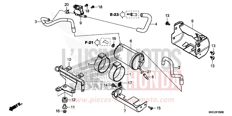 AKTIVKOHLEBEHAELTER von Rebell MAT FRESCO BROWN (Y215) von 2019