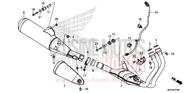 ABGAS-SCHALLDAEMPFER von Rebell MAT FRESCO BROWN (Y215) von 2019