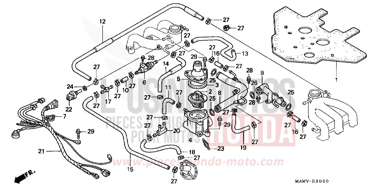 WASSERROHR/THERMOSTAT von Goldwing CANDY SPECTRA RED (R176K) von 2000