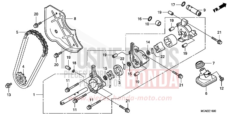 OELPUMPE von Goldwing BLOODSTONE RED METALLIC (R287) von 2009