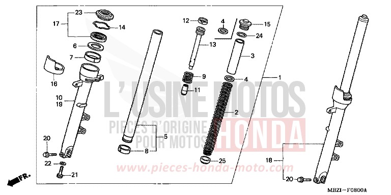 GABEL, VORNE (CB600F2/F22/3/4) von Hornet PEARL COOL WHITE (NHA16) von 2004
