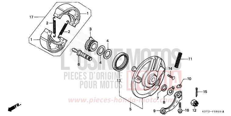 BREMSPLATTE, VORNE von XL125S FIGHTING RED (R134) von 1981