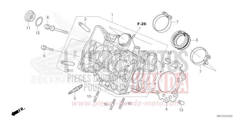 ZYLINDERKOPF von X-ADV MAT GOLDFINCH YELLOW (Y242) von 2025