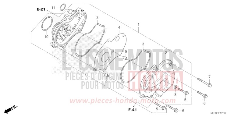 WASSERPUMPE von X-ADV MAT GOLDFINCH YELLOW (Y242) von 2025