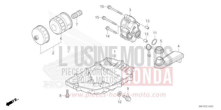OELWANNE/OELPUMPE von X-ADV MAT GOLDFINCH YELLOW (Y242) von 2025