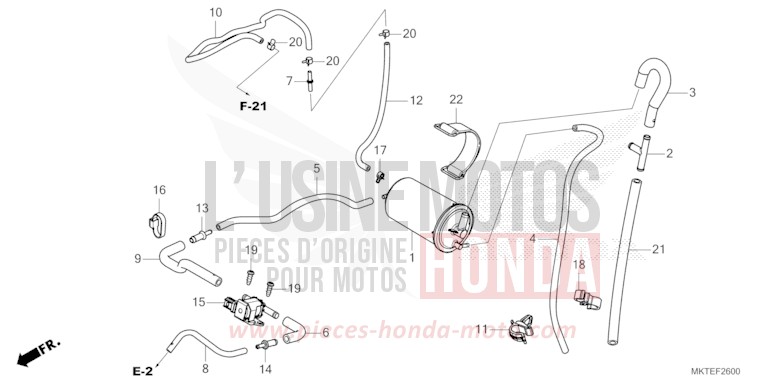AKTIVKOHLEBEHAELTER von X-ADV PEARL GLARE WHITE (NHB53) von 2025