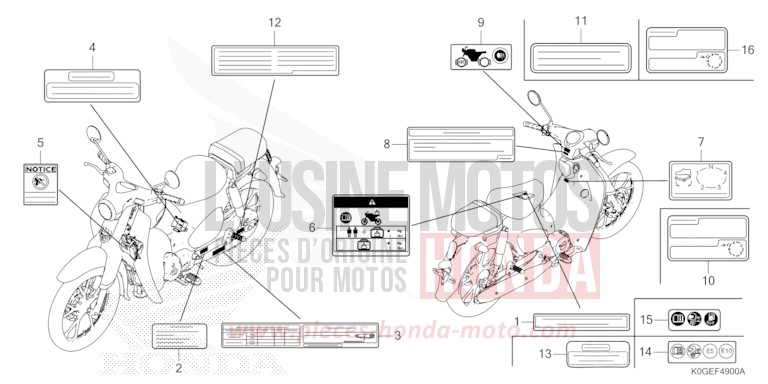 WARNETIKETT von C125A PEARL CADET GRAY (NHB95) von 2022