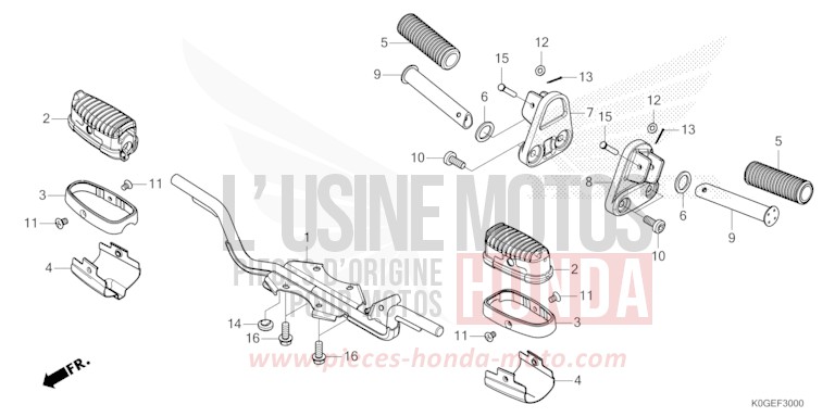 STUFE von C125A PEARL NILTAVA BLUE (PB415) von 2022
