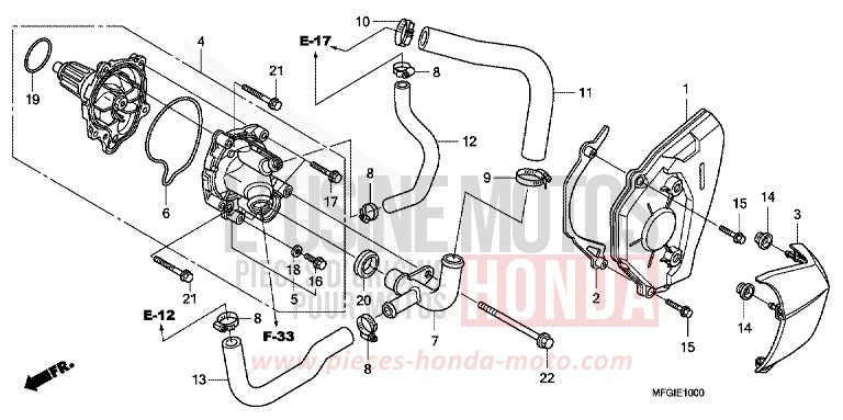 WASSERPUMPE von Hornet PEARL SIENA RED (R320) von 2010