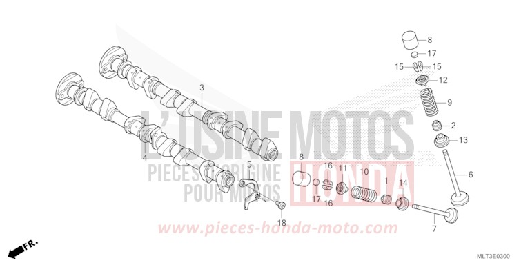 NOCKENWELLE/VENTIL von CB1000GT GRAPHITE BLACK (NHB01) von 2026