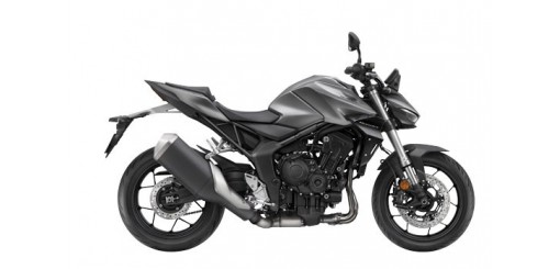 Hornet 1000 de 2025