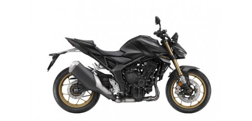 Hornet 1000 de 2025