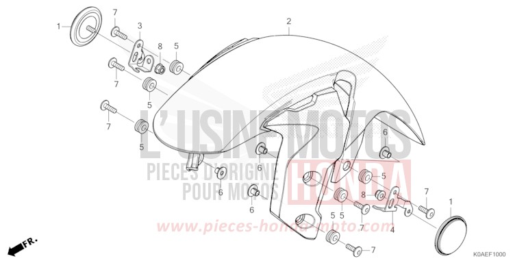 KOTFLUEGEL, VORNE von CB300R PEARL DUSK YELLOW (Y238) von 2022