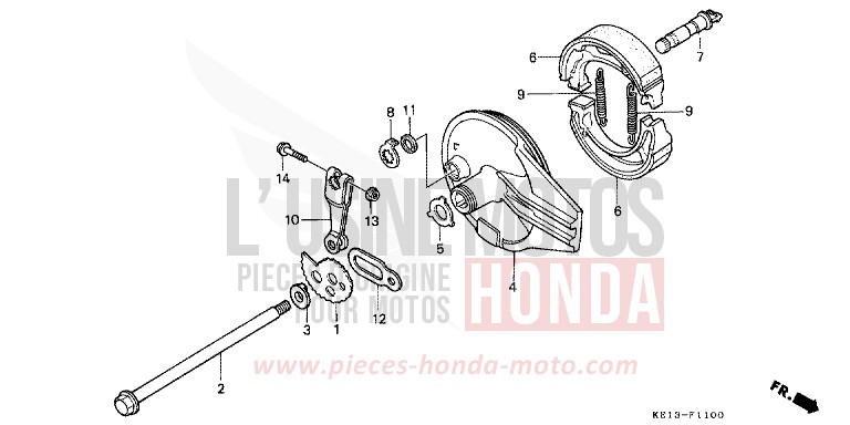 BREMSPLATTE, HINTEN von MTX125R FIGHTING RED (R134) von 1987
