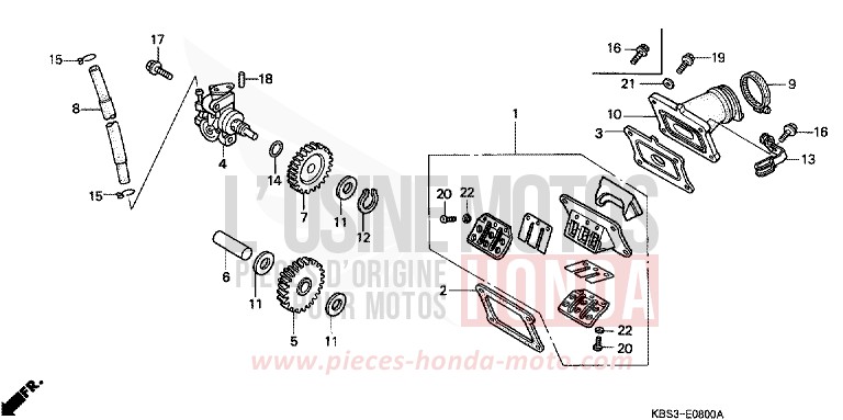 OELPUMPE/PLAETTCHENVENTIL von NSR125R SPARKLING RED (R127) von 1997