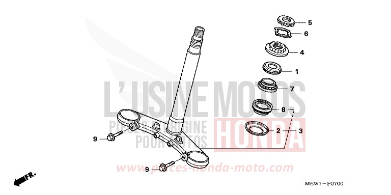 LENKSCHAFT von Deauville SHASTA WHITE (NH138) von 2006