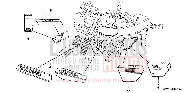STREIFEN/EMBLEM (AUSSER XL125SB,C-CM) von XL125S CORTINA WHITE (NH111) von 1982