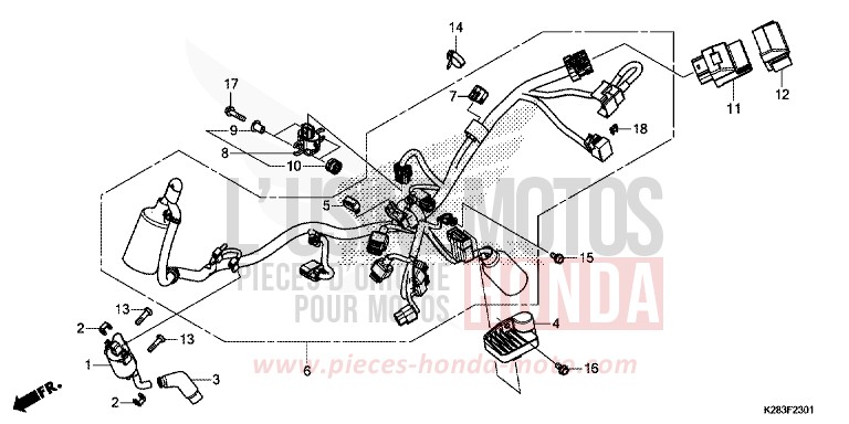 KABELBAUM (CRF125F/FB K) von CRF125 EXTREME RED (R292) von 2019