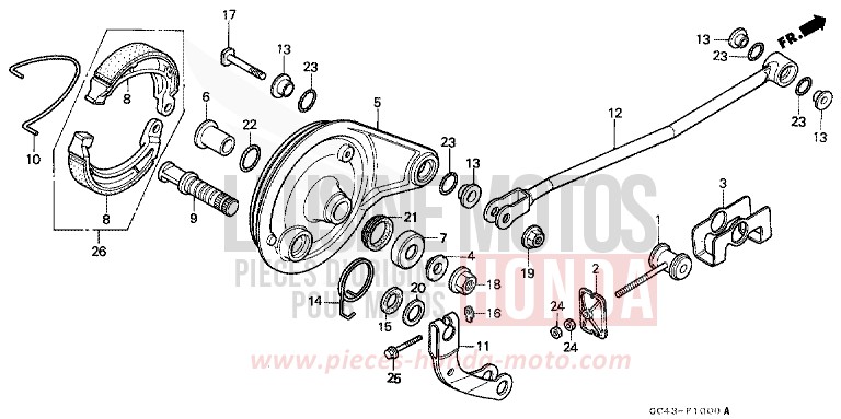 BREMSPLATTE, HINTEN (RF/RG/RH/RJ/RK) von CR80R FIGHTING RED (R134) von 1989