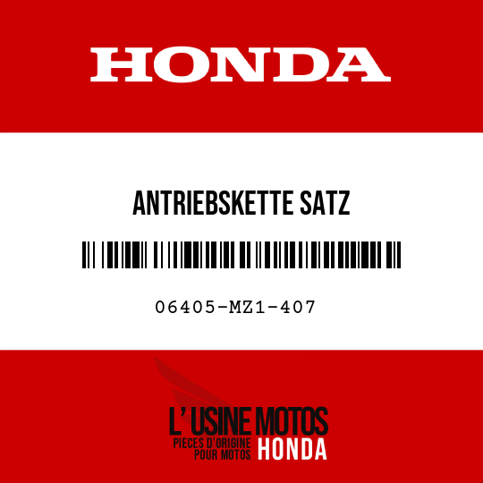 image de 06405-MZ1-407 ANTRIEBSKETTE SATZ (DID50VA7-102L-120L)