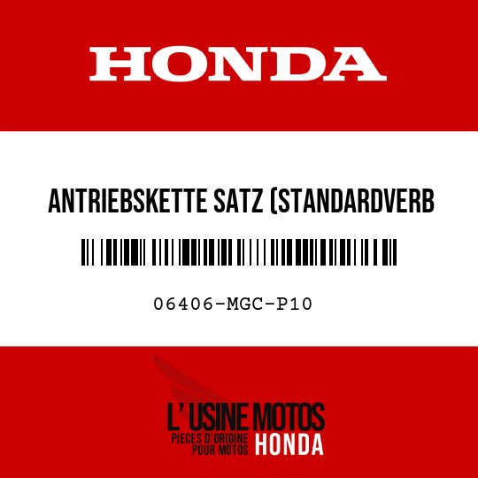 image de 06406-MGC-P10 ANTRIEBSKETTE SATZ (STANDARDVERB 110L)