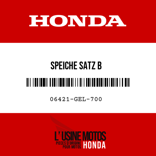 image de 06421-GEL-700 SPEICHE SATZ B