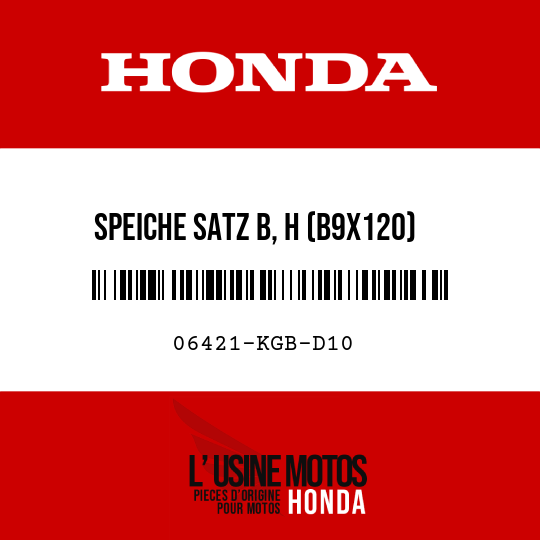image de 06421-KGB-D10 SPEICHE SATZ B, H (B9X120)