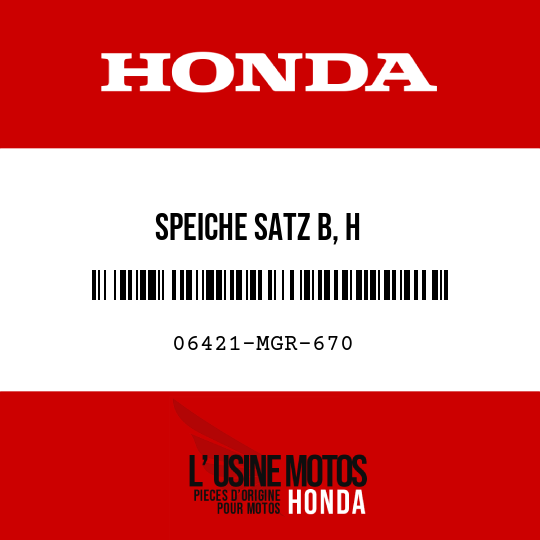 image de 06421-MGR-670 SPEICHE SATZ B, H