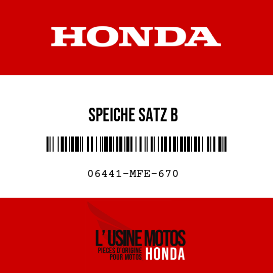 image de 06441-MFE-670 SPEICHE SATZ B