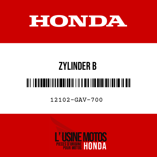 image de 12102-GAV-700 ZYLINDER B