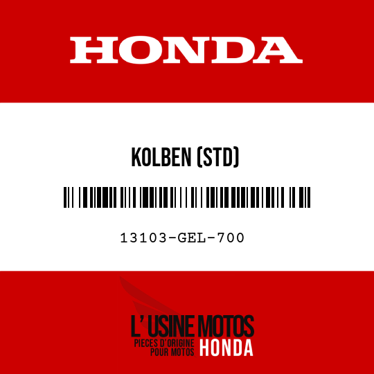 image de 13103-GEL-700 KOLBEN (STD)