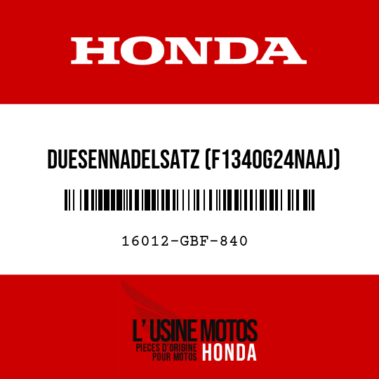 image de 16012-GBF-840 DUESENNADELSATZ (F1340G24NAAJ)