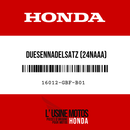 image de 16012-GBF-B01 DUESENNADELSATZ (24NAAA)