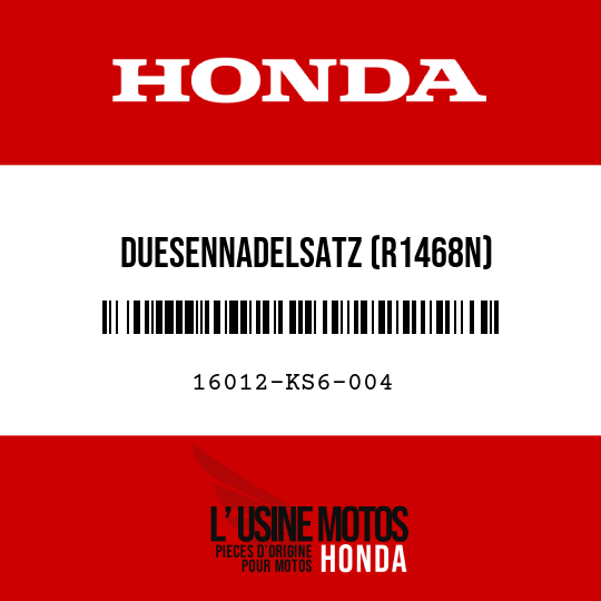 image de 16012-KS6-004 DUESENNADELSATZ (R1468N)