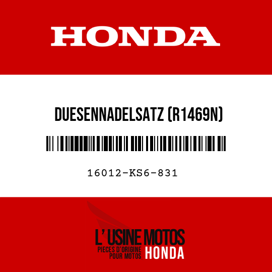 image de 16012-KS6-831 DUESENNADELSATZ (R1469N)