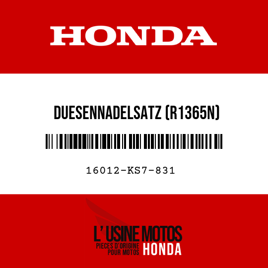 image de 16012-KS7-831 DUESENNADELSATZ (R1365N)