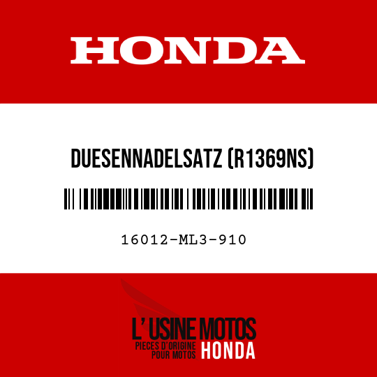 image de 16012-ML3-910 DUESENNADELSATZ (R1369NS)