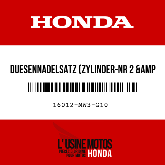 image de 16012-MW3-G10 DUESENNADELSATZ (ZYLINDER-NR 2 &amp 3)