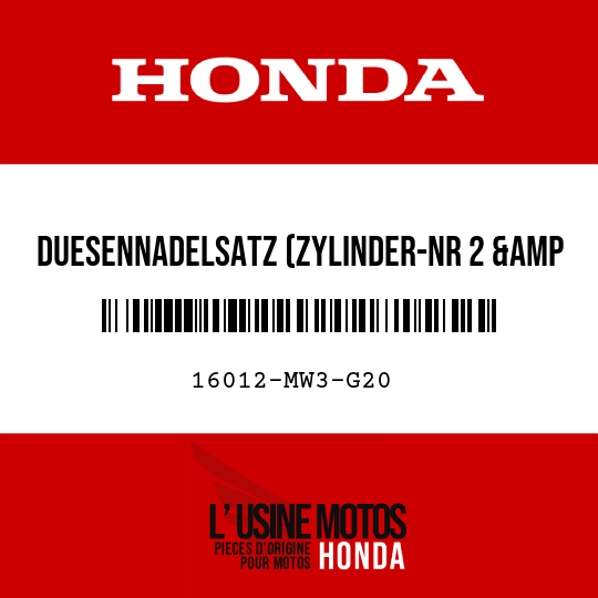 image de 16012-MW3-G20 DUESENNADELSATZ (ZYLINDER-NR 2 &amp 3)