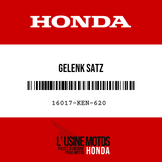 image de 16017-KEN-620 GELENK SATZ