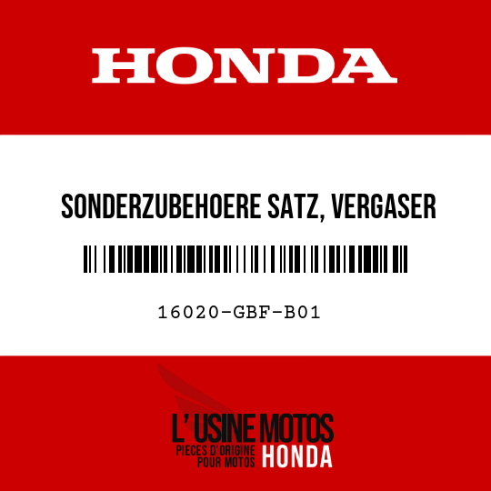 image de 16020-GBF-B01 SONDERZUBEHOERE SATZ, VERGASER