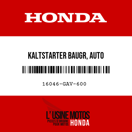 image de 16046-GAV-600 KALTSTARTER BAUGR, AUTO