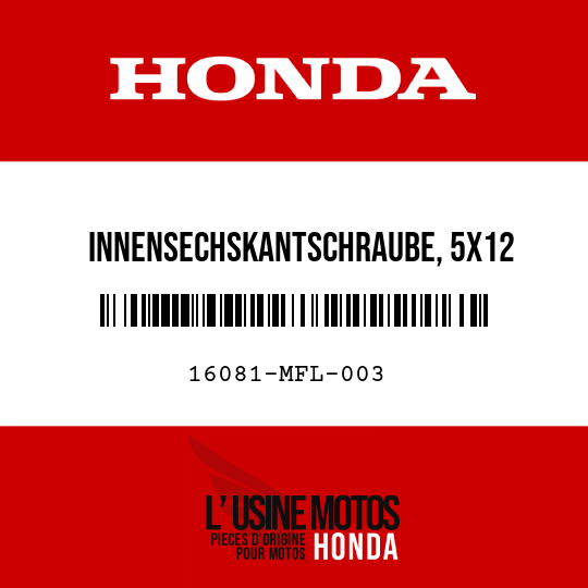 image de 16081-MFL-003 INNENSECHSKANTSCHRAUBE, 5X12