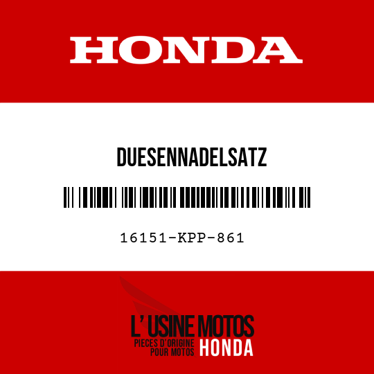 image de 16151-KPP-861 DUESENNADELSATZ