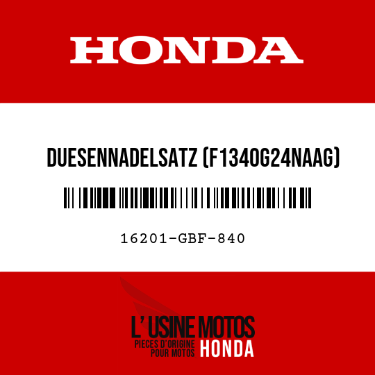 image de 16201-GBF-840 DUESENNADELSATZ (F1340G24NAAG)