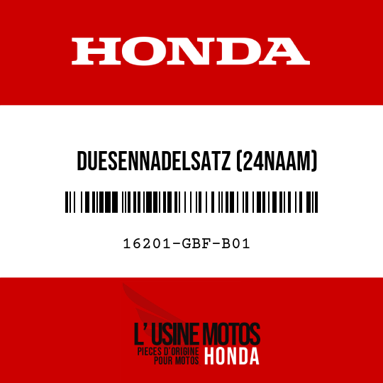 image de 16201-GBF-B01 DUESENNADELSATZ (24NAAM)