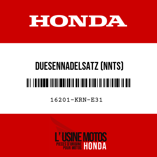 image de 16201-KRN-E31 DUESENNADELSATZ (NNTS)