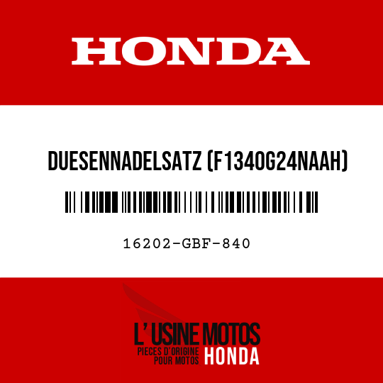 image de 16202-GBF-840 DUESENNADELSATZ (F1340G24NAAH)